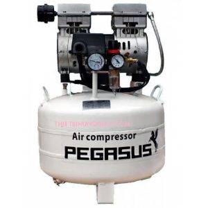 MÁY NÉN KHÍ KHÔNG DẦU GIẢM ÂM PEGASUS TM-OF550-40L MÁY NÉN KHÍ KHÔNG DẦU GIẢM ÂM PEGASUS TM-OF550-40L