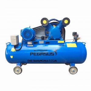 MÁY  NÉN KHÍ PEGASUS TM-V-0.6/8-180L MÁY  NÉN KHÍ PEGASUS TM-V-0.6/8-180L