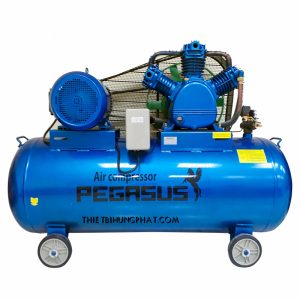 MÁY  NÉN KHÍ PEGASUS TM-W-0.67/8-330L MÁY  NÉN KHÍ PEGASUS TM-W-0.67/8-330L