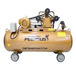 MÁY  NÉN KHÍ PEGASUS TM-W-1.6/8-500L MÁY  NÉN KHÍ PEGASUS TM-W-1.6/8-500L