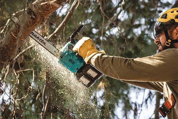 Máy cưa cành trên cao dùng pin Makita DUA301ZB Máy cưa cành trên cao dùng pin Makita DUA301ZB