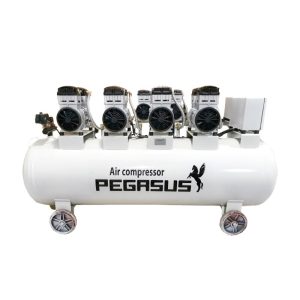 Bình Tích Khí Pegasut B 330L Bình Tích Khí Pegasut B 330L