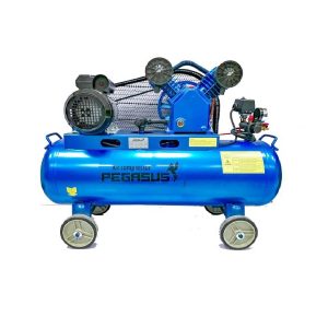 Máy Nén Khí PE TM-V-0.25/8-180L-3HP (380V) -  Pegasut PE 180L 03 Máy Nén Khí PE TM-V-0.25/8-180L-3HP (380V) -  Pegasut PE 180L 03