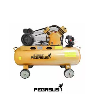 Máy Nén Khí  -  Pegasut PE TM-W-0.36/8-120L-4HP (220V) Máy Nén Khí  -  Pegasut PE TM-W-0.36/8-120L-4HP (220V)